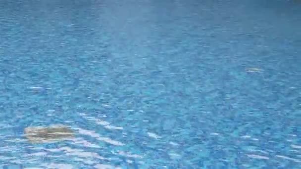 Yüzme Havuzu dalgalar — Stok video