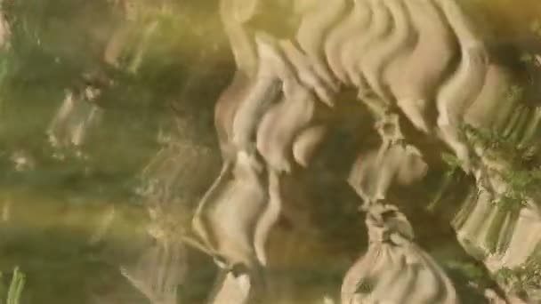 サグラダ ・ ファミリアの彫刻を反射 — ストック動画