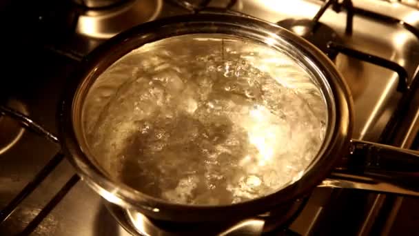 Kokande vatten i en rostfri kastrull — Stockvideo