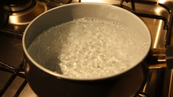 Boiling water — Stock Video