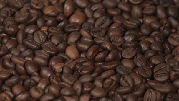 Kávová zrna zavřít zobrazení — Stock video