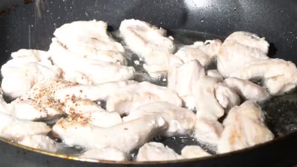 Προσθήκη καρυκεύματα να κρέας γαλοπούλας σε ένα τηγάνι — Αρχείο Βίντεο