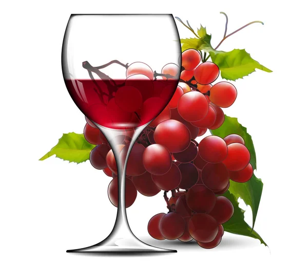 Transparent Glass Red Wine Branch Grapes White Background High Detailed — Stock Vector