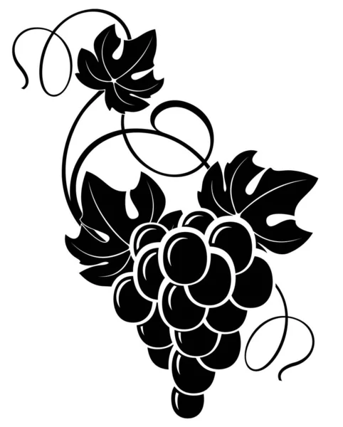 Dessin Main Levée Bouquet Décoratif Raisins Avec Des Feuilles — Image vectorielle