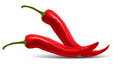 Beyaz arka planda iki kırmızı biber. Çok gerçekçi bir çizim..