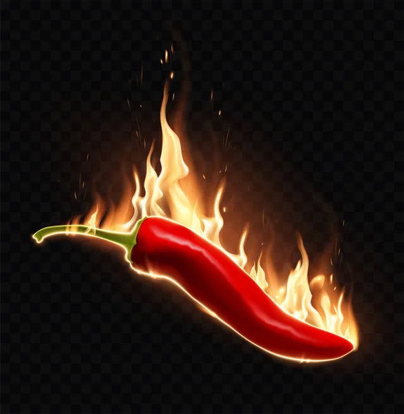 黒の背景に赤唐辛子を焼く 特別な透明煙効果 非常に現実的なイラスト — ストックベクタ