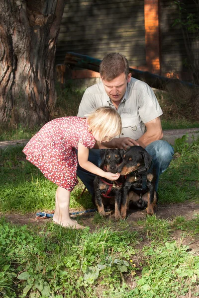 The girl feeds two dogs under supervision of the father — Stock Photo, Image
