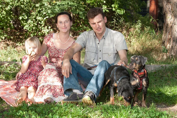 The family sits on a grass in park, nearby there are two dogs. — Stock Photo, Image