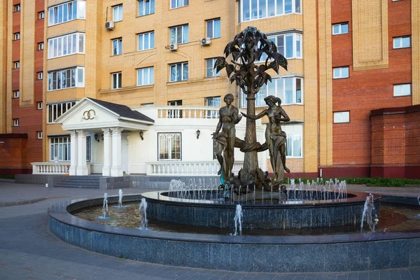 La construction du mariage et de la fontaine dans la ville de Ramenskoye , — Photo