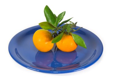 Koyu mavi plaka üzerinde şubesi ile mandalina