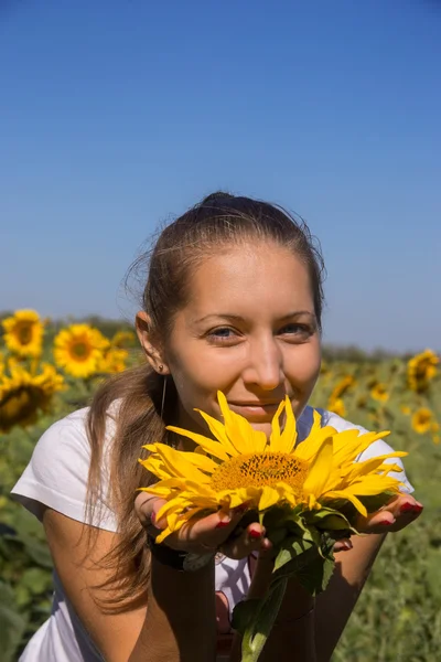 Young woman with sunflower in field — Stock Photo, Image