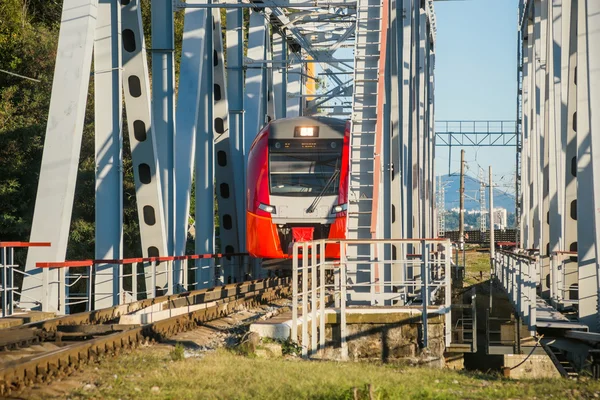 Vonat halad át a hídon — Stock Fotó