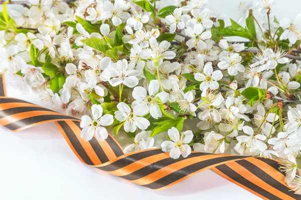 Cerise en fleurs et George bande de la victoire — Photo