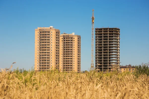 Building of new houses among wheat field in summer — Stock Photo, Image