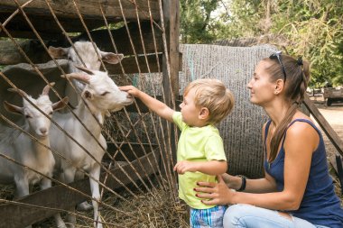 Kafes sığır yetiştirme grubundaki çocuklarla iki yıllık çocuk ile anne