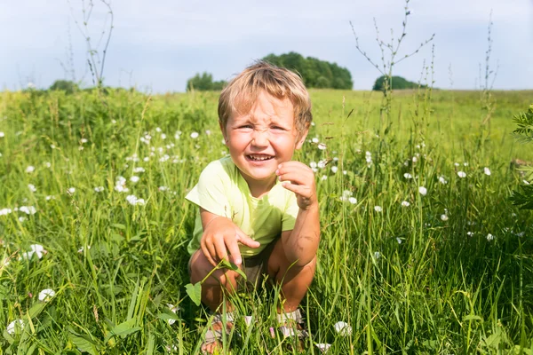 Liten pojke sitter i gröna gräset på ängen — Stockfoto