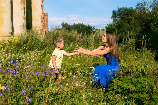 Liten pojke ger äng blommor till mor — Stockfoto