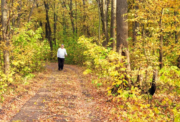 Walking through autumn forest