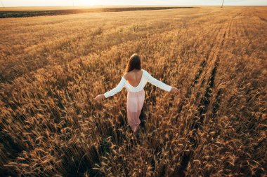 gün batımında buğday alanında güzel esmer Bayan