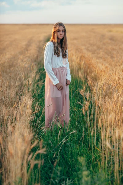Piękna brunetka dama w polu pszenicy na zachód słońca — Zdjęcie stockowe