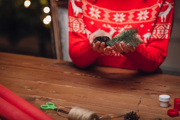 Donna mani tenendo ramo di albero di pelliccia — Foto Stock