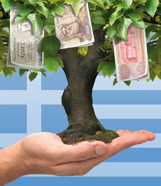 Money tree - Greek crisis — Stock Photo, Image