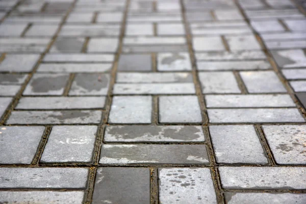 Våta trottoaren efter regnet Stockfoto