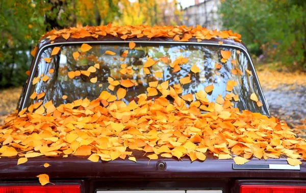 Foglie cadute su un'auto Immagine Stock