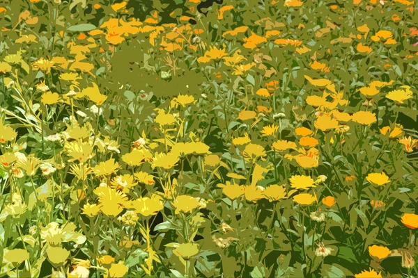 Hintergrund der Blumen сalendula mit Filter — Stockfoto