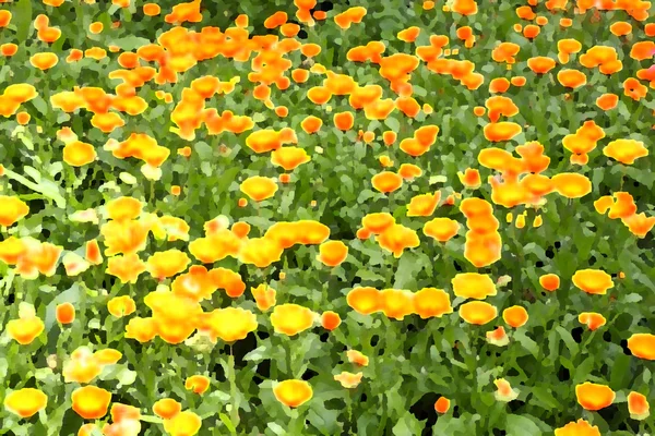 Фон з квітів календула з використанням фільтра — стокове фото