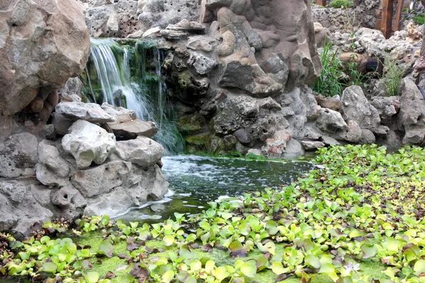 Plantas y cascada artificial en el estanque — Foto de Stock