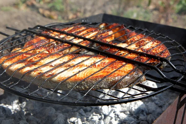 Peixe frito na grelha Fotos De Bancos De Imagens