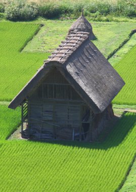 Kırsaldaki kır evi.