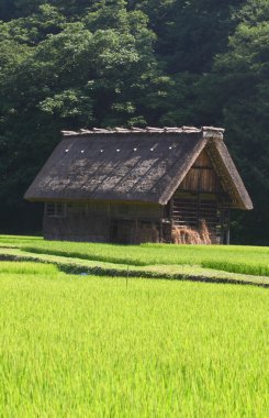 Kırsaldaki kır evi. 