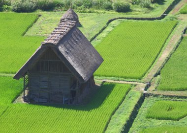 Kırsaldaki kır evi.