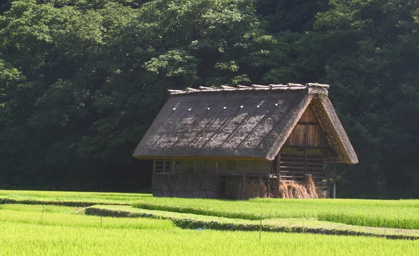 Huisje op het platteland — Stockfoto
