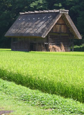 Kırsaldaki kır evi.