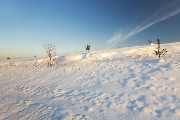 snow covered field