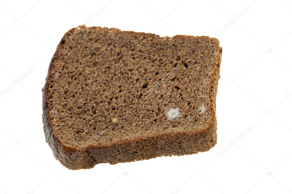 Bread Mold Close Up Stock Photo Ligora 104651970