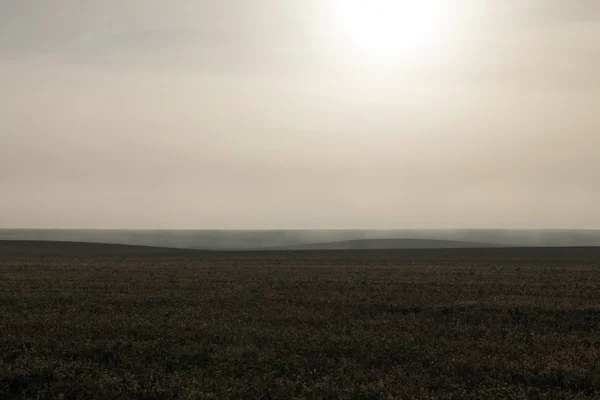 Fog in the field, monochrome