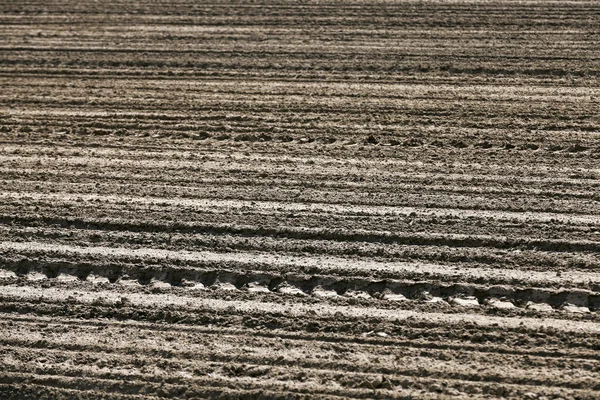 empty agricultural field