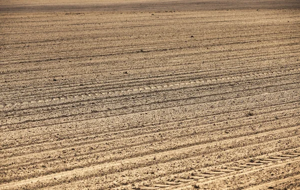 empty agricultural field