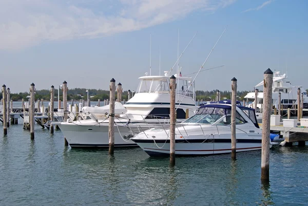 Fishing Boat and Pleasure Craft — Stock Photo, Image