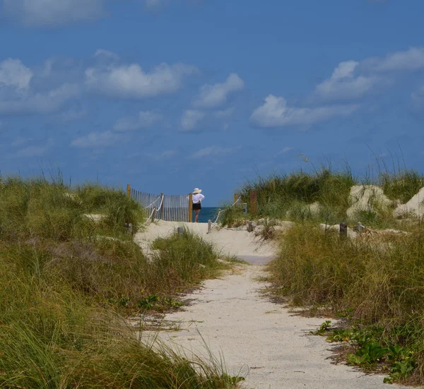 Um caminho arenoso para a praia em Southpointe Park — Fotografia de Stock