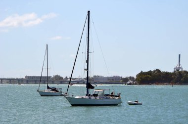 Miami Beach, Florida açıklarında Biscayne Körfezi 'ne demir atmış yelkenliler.