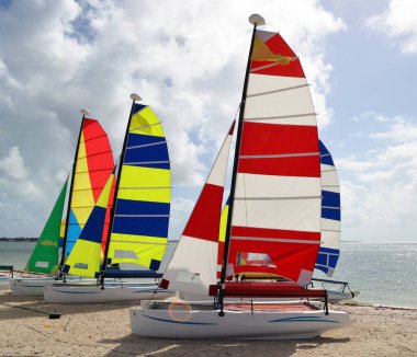 Katamaran yelkenlileri Florida 'daki Key Biscayne plajında dinleniyor..