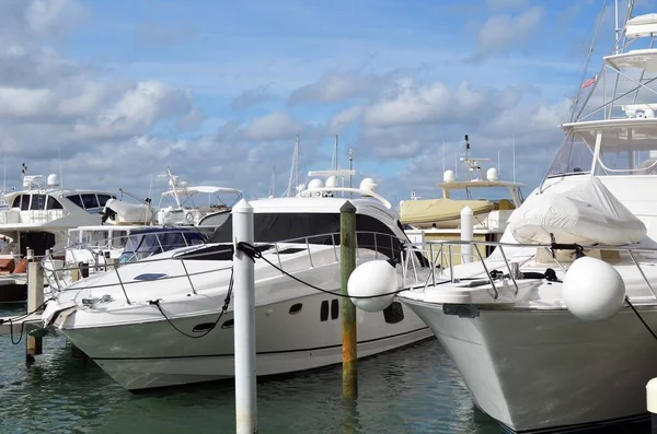 Πολυτελή Σκάφη Αναψυχής Αγκυροβολημένα Miami Beach Φλόριντα Μαρίνα — Φωτογραφία Αρχείου