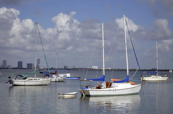 Segelbåtar ankar — Stockfoto