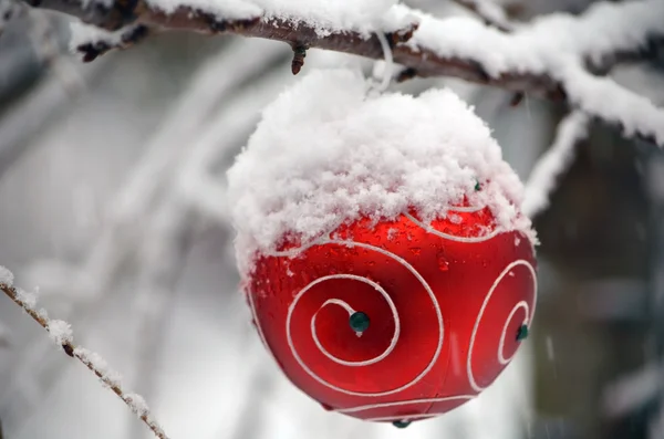 Roter Weihnachtsschmuck — Stockfoto