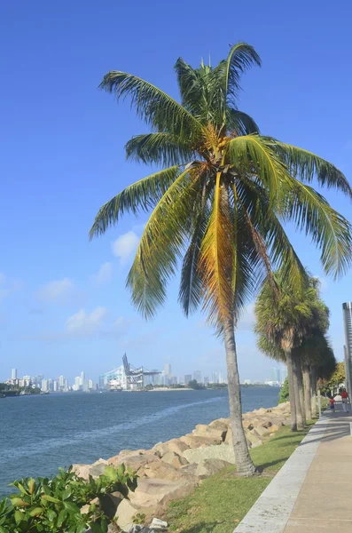 Miami Beach Scenic Views — Stock Photo, Image